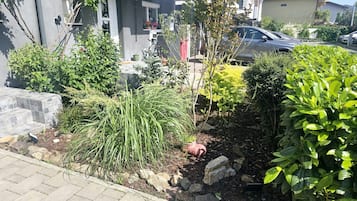 Ein privater Garten mit unterschiedlichen Pflanzen und einem gepflasterten Weg.