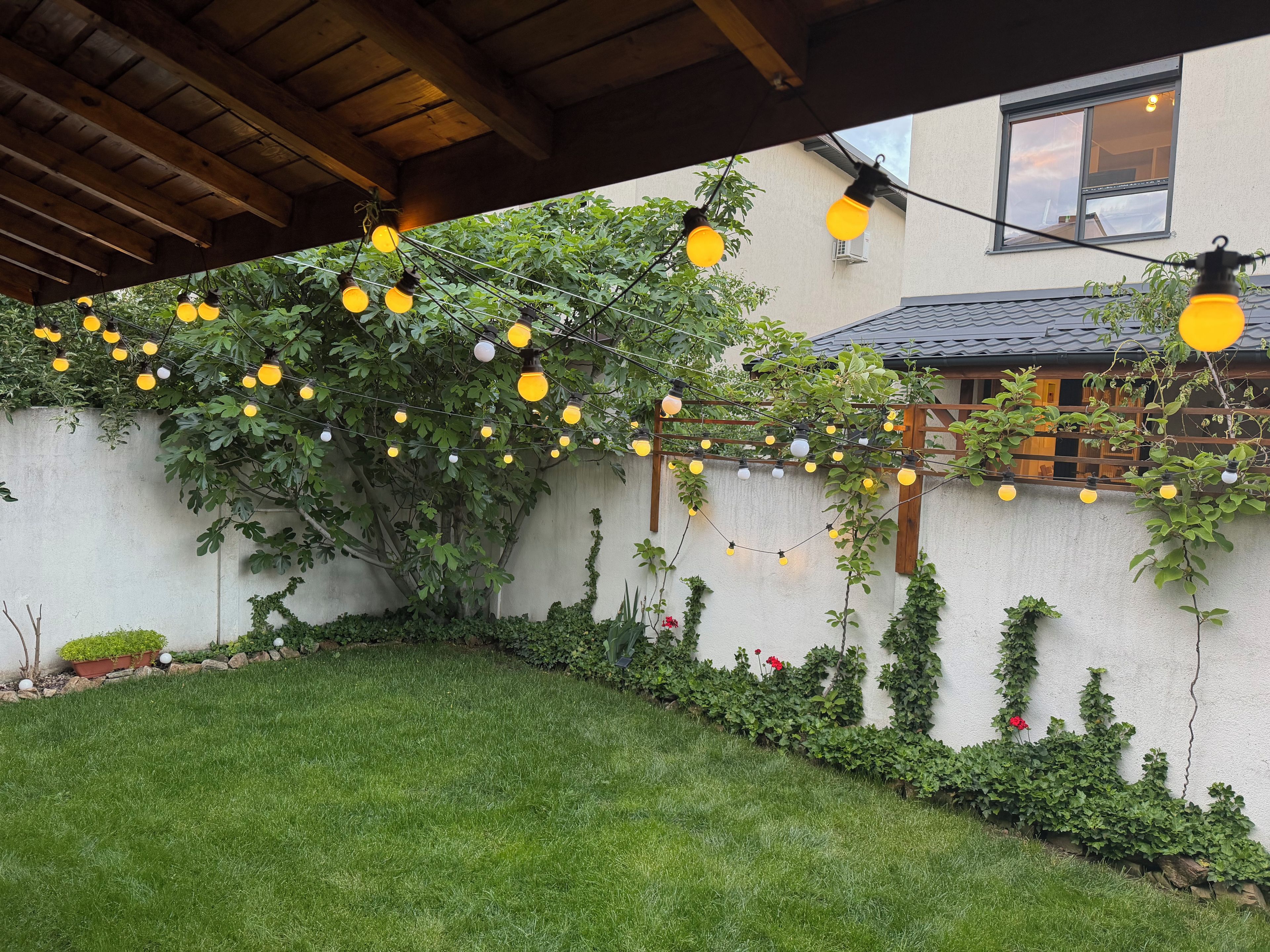 Un jardín con un porche de madera, luces colgantes y una pared blanca cubierta de plantas trepadoras.