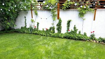 Un jardín con un muro blanco, césped verde y plantas trepadoras.