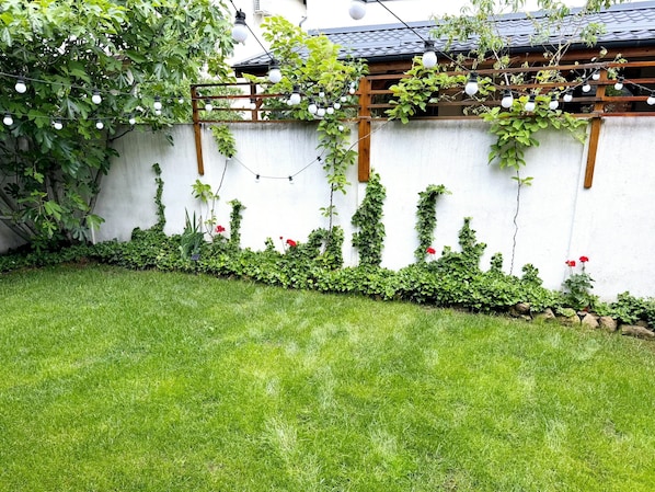 A garden with a white wall, green grass, and climbing plants.