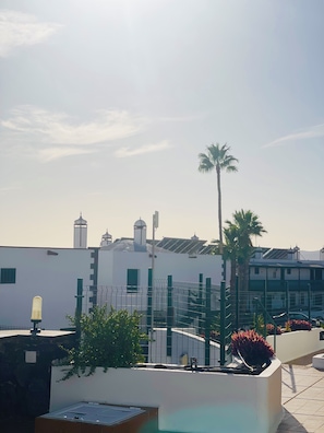 Eine Dachterrasse mit Pool, Palmen und einem weißen Gebäude mit mehreren Schornsteinen.