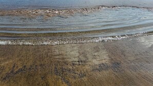 En strand med klare himmel og bløde bølger.