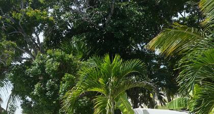 Ix Chel Wellness Resort