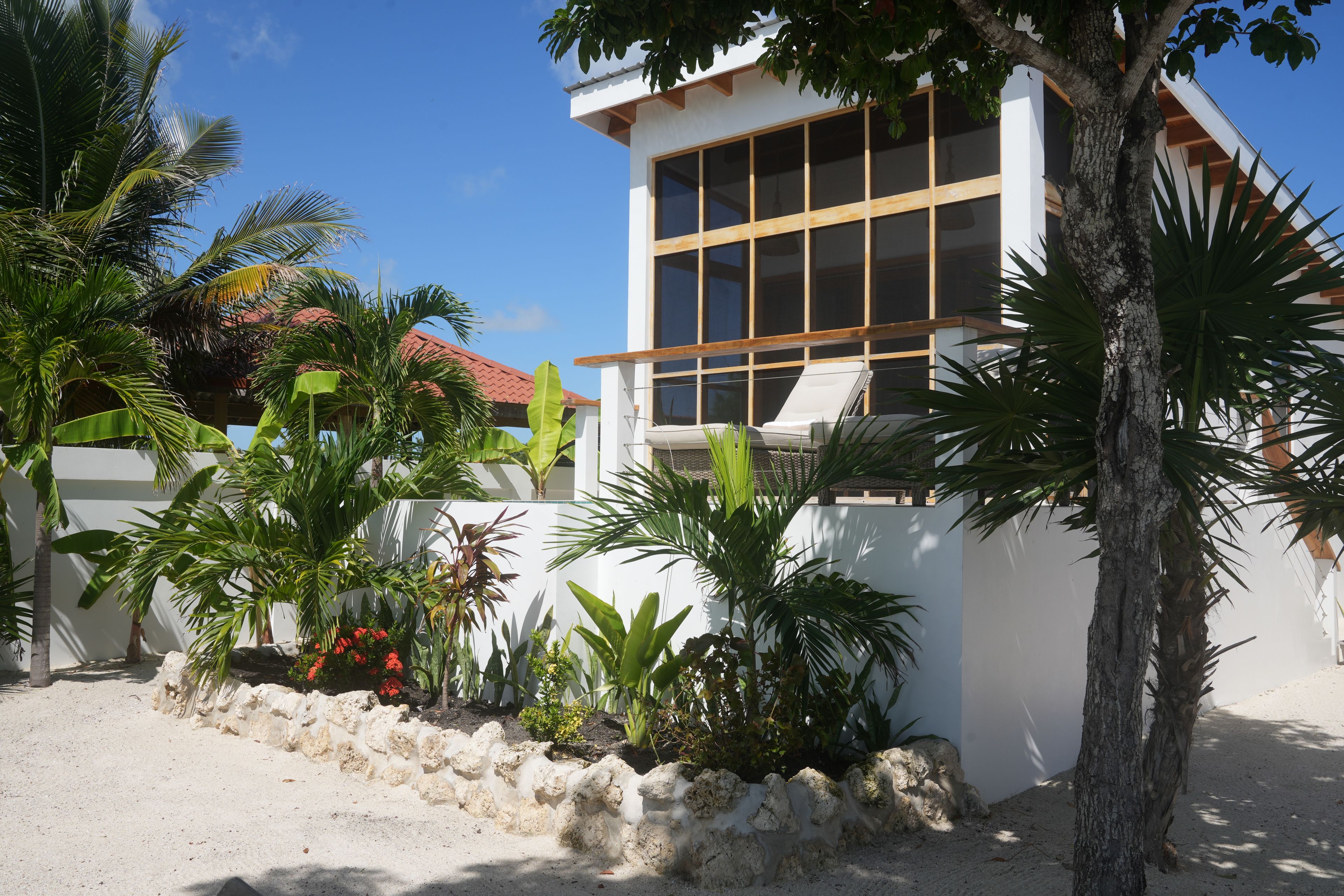 A modern building with large windows, a white exterior, and a sandy ground area with tropical plants.