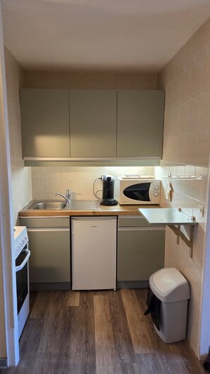A compact kitchen with a dishwasher, a microwave, and a sink. - 1800 Village Studio with a View (Les Deux Alpes)