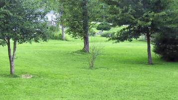 A grassy park area with trees and a statue in the background.
