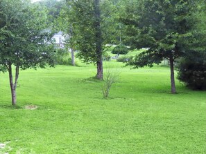 Eine parkähnliche Grünfläche mit Bäumen und einer Statue im Hintergrund.