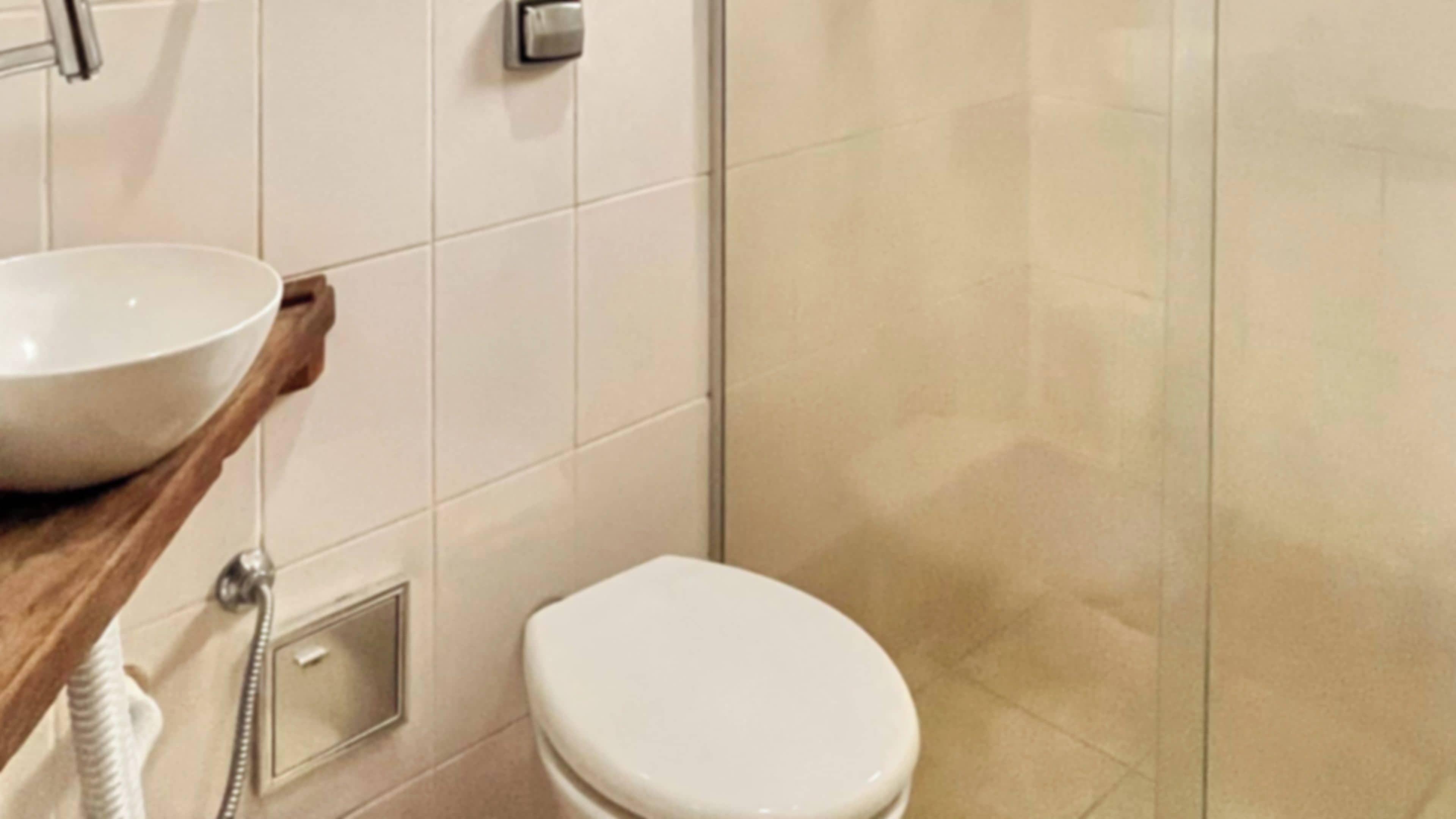Un baño con inodoro blanco, lavamanos con espejo y zona de ducha.