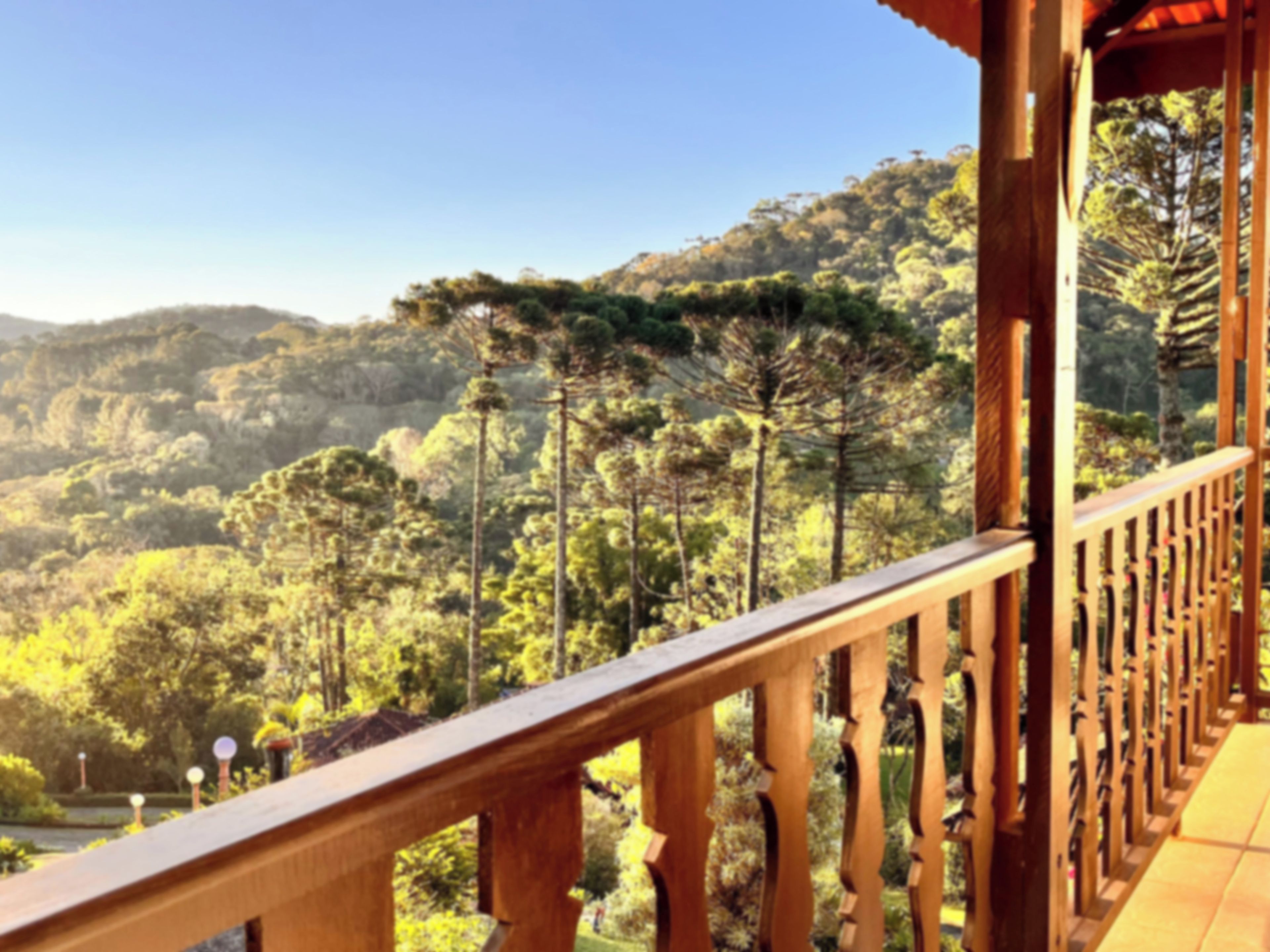 A wooden balcony with a view of a forested hillside.
