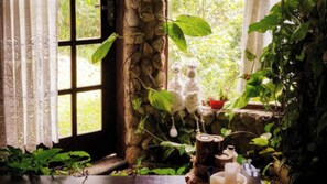A room with a window, a stone wall, and various plants.