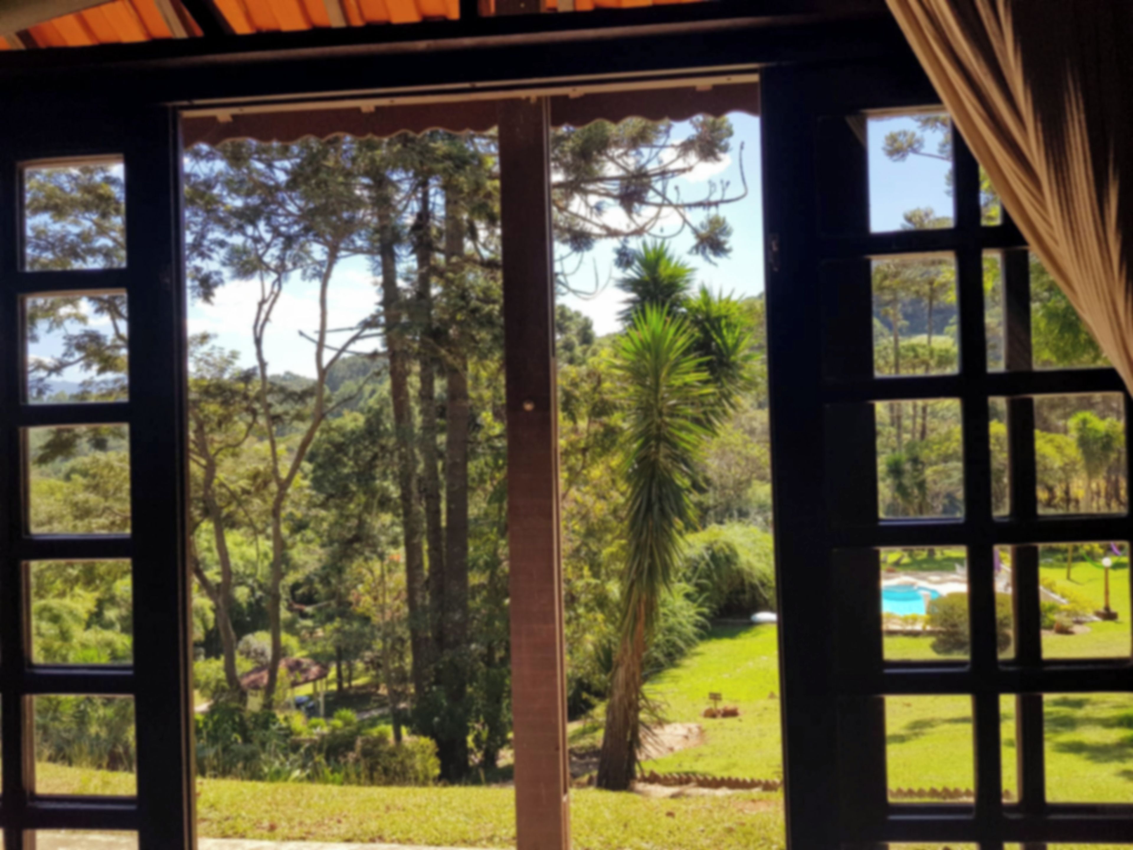 Vista a través de una ventana mostrando un jardín y árboles.