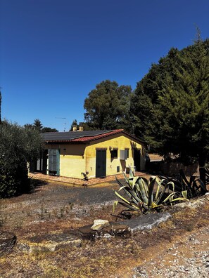 A single-story building with a red-tiled roof, a small porch, and a garden with a large agave plant. - La Quercia Two-Room Apartment in the Heart of the Maremma (Grosseto)