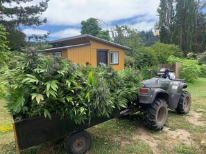 Una pequeña cabaña de madera con un remolque negro, lleno de plantas verdes.