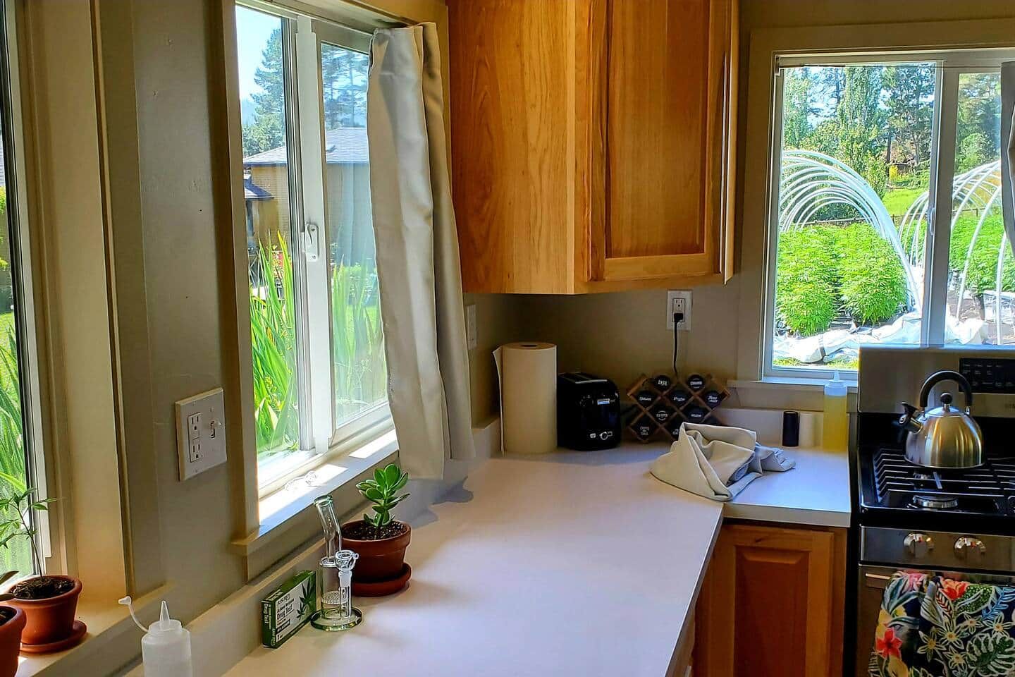 A kitchen with wooden cabinets, a stove, a kettle, and a window with a view of greenery.