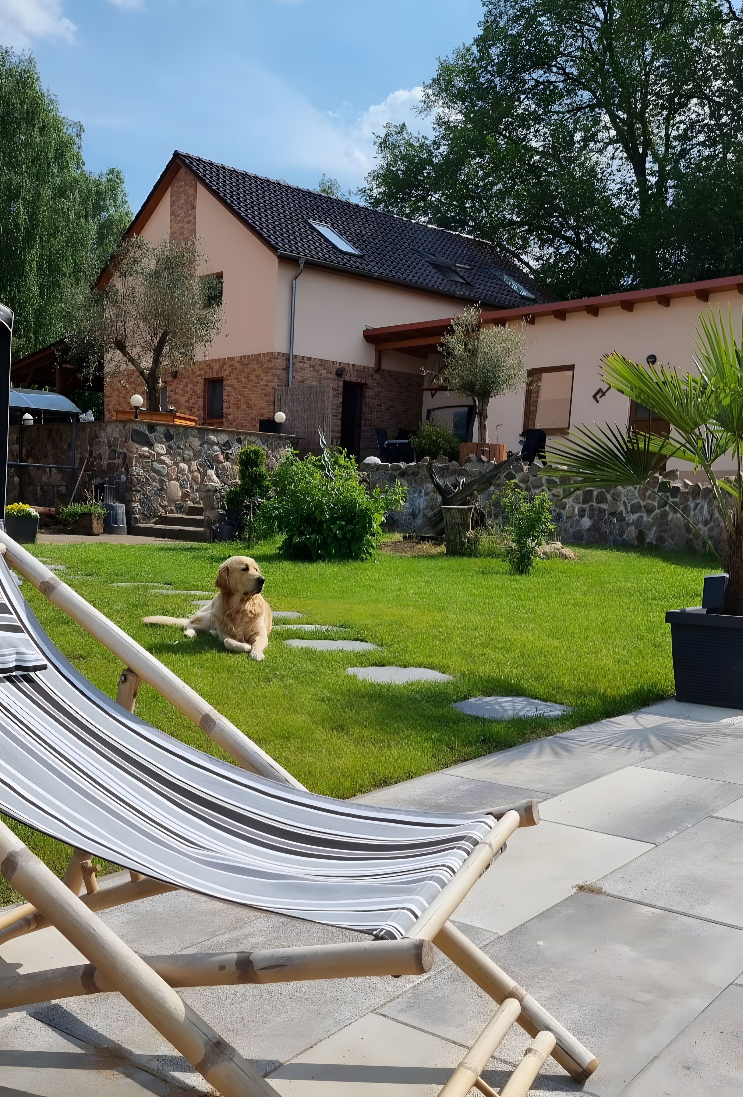 A hammock in a backyard with a dog lying on the grass, a stone wall, and a house with a tiled roof.