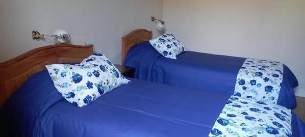 Una habitación con dos camas, cada una con cubrecama azul y almohada estampada.