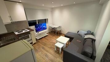 A modern living room with a flat-screen TV, a dining area, and a kitchen with a stove and sink.