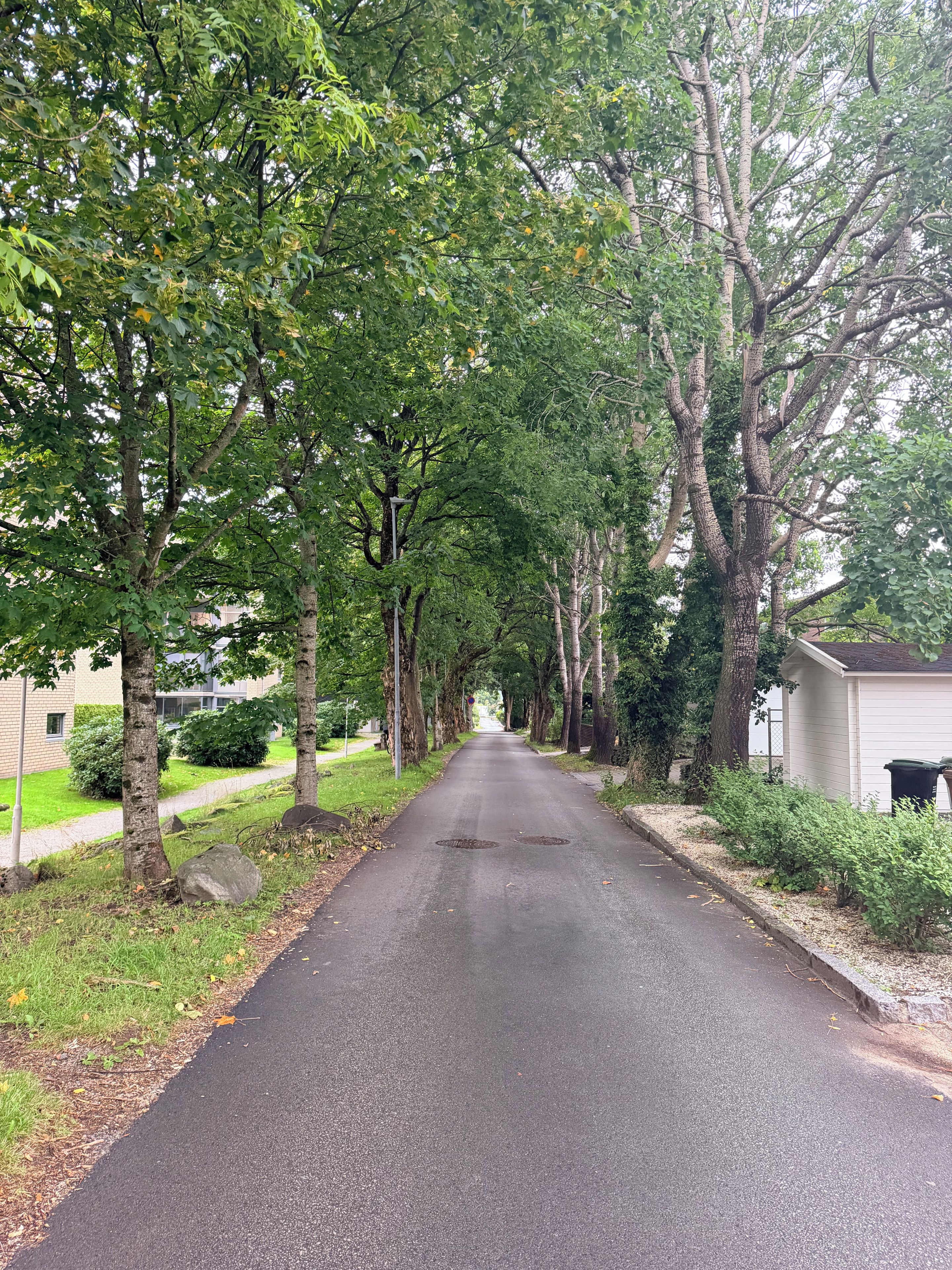 A tree-lined street with a paved road, a sidewalk, and a small building on the right.