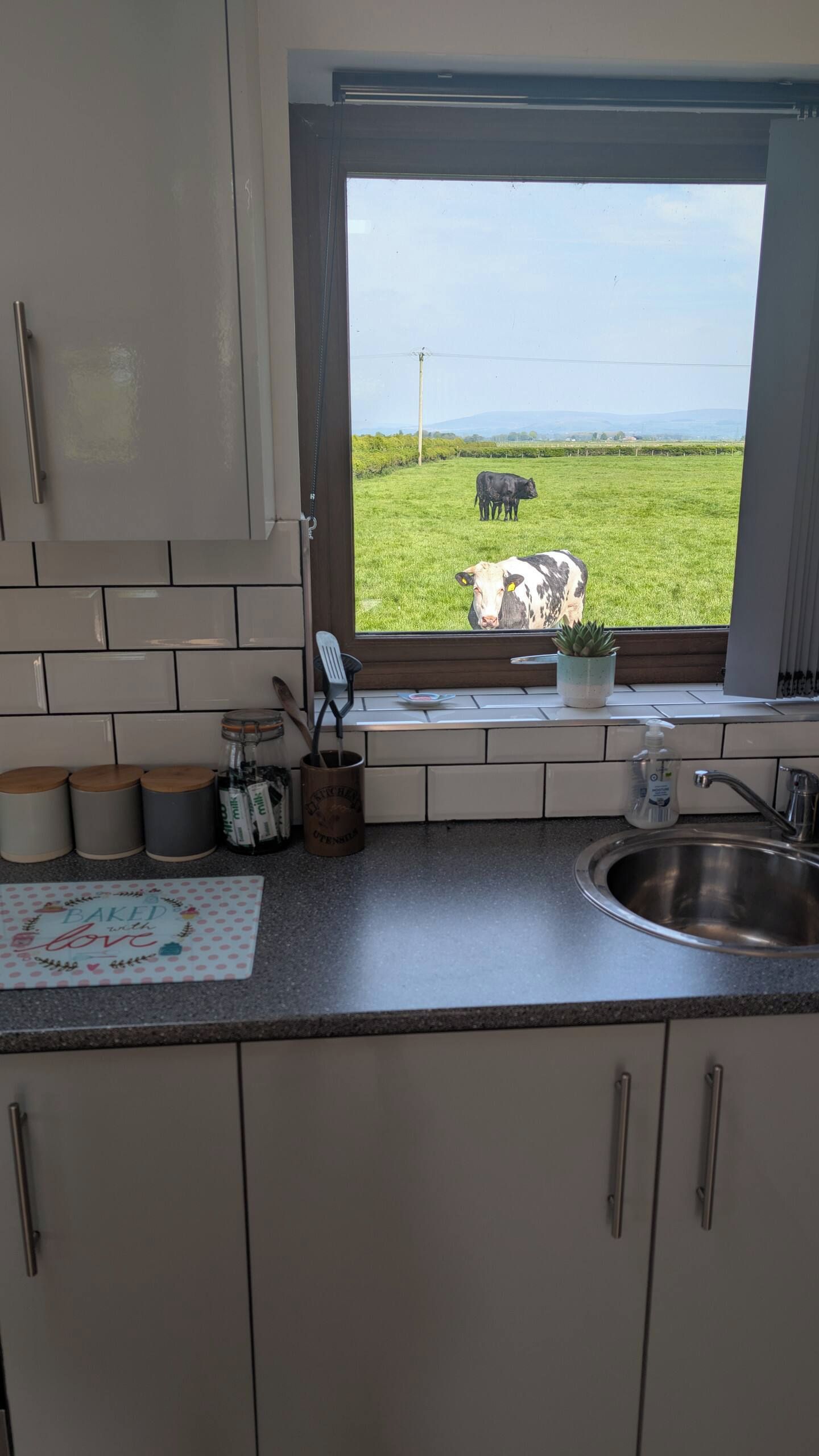 A kitchen with a window view of a green field and a cow.