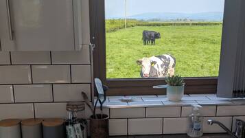 A kitchen with a window view of a green field and a cow.