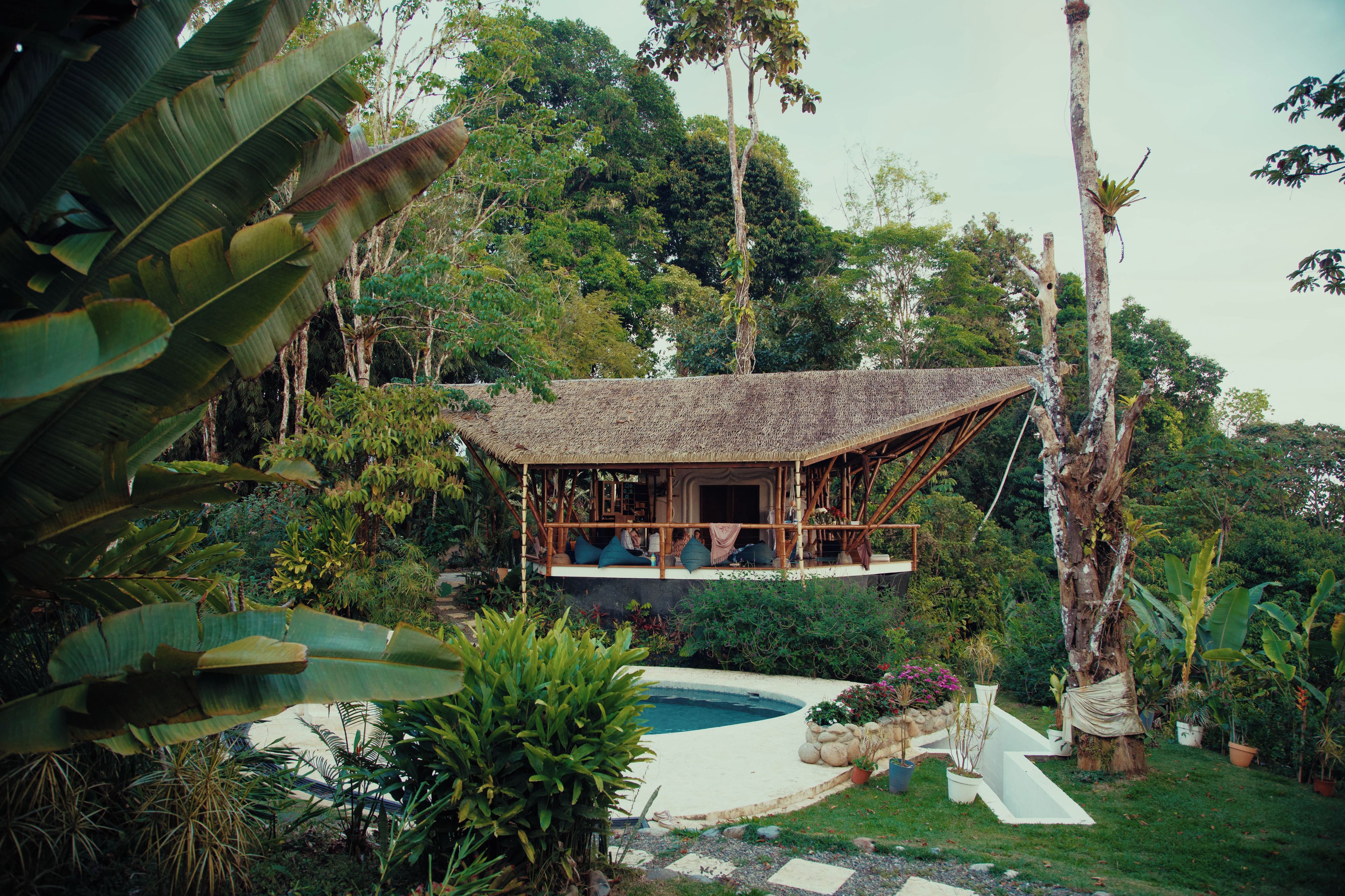 Una casa aislada con techo de paja, rodeada de abundante vegetación y una piscina.
