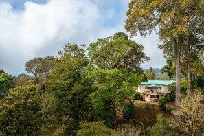 A two-story building with a green roof, surrounded by dense greenery and trees. - Earth Home with Waterfall Jungle View above Uvita Beach with River, Sauna, Yoga (San Luis)