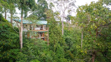 A treehouse with a green roof, surrounded by dense forest.