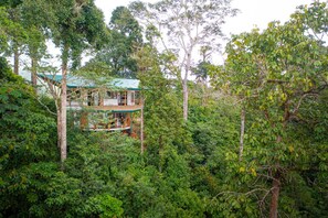 Una casa árbol con techo verde, rodeada de un bosque frondoso.
