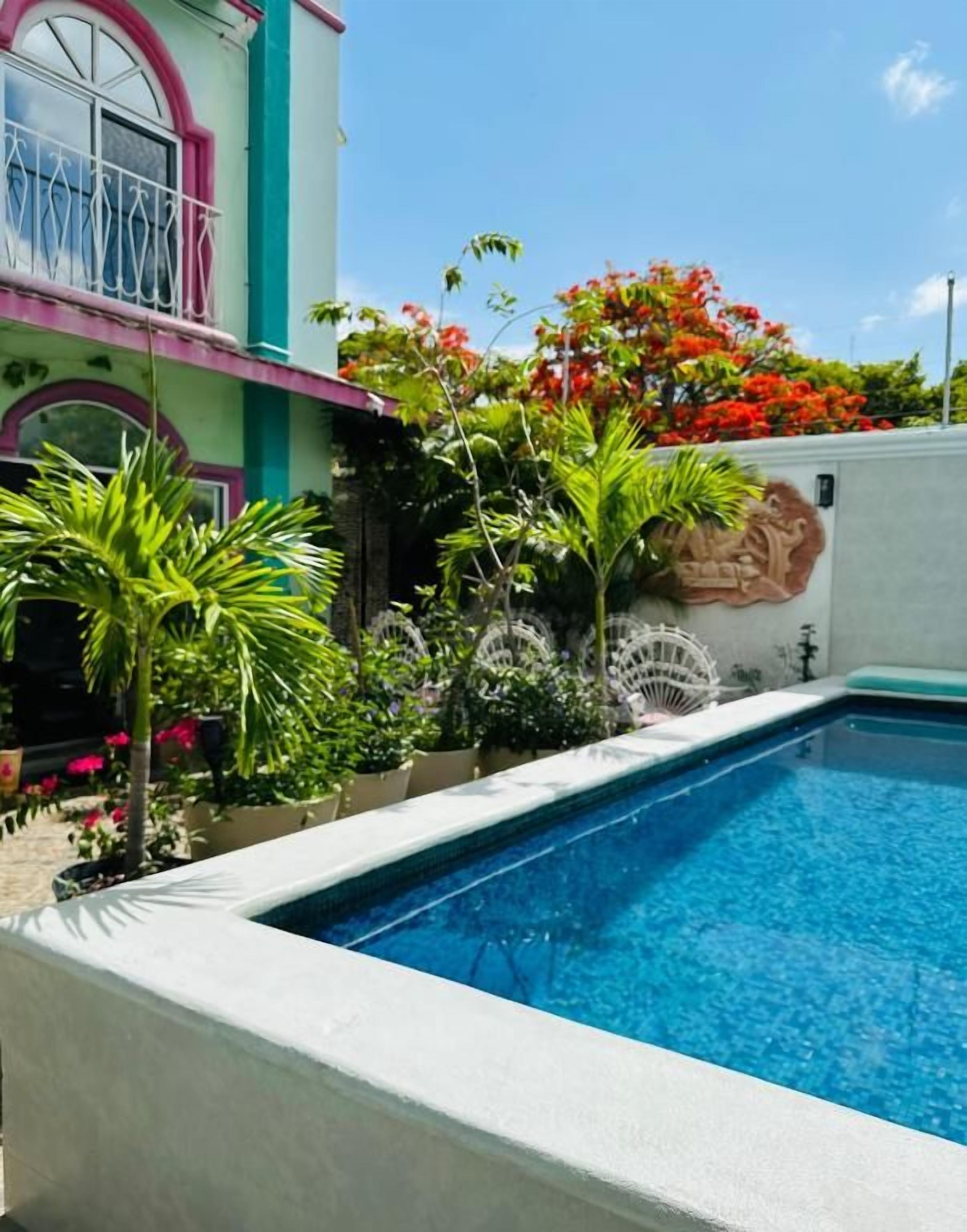 A swimming pool with a white wall and a mural, surrounded by tropical plants and a building with a balcony.