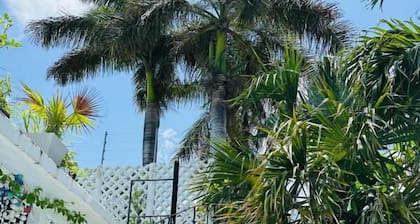 The Quetzal Cancun