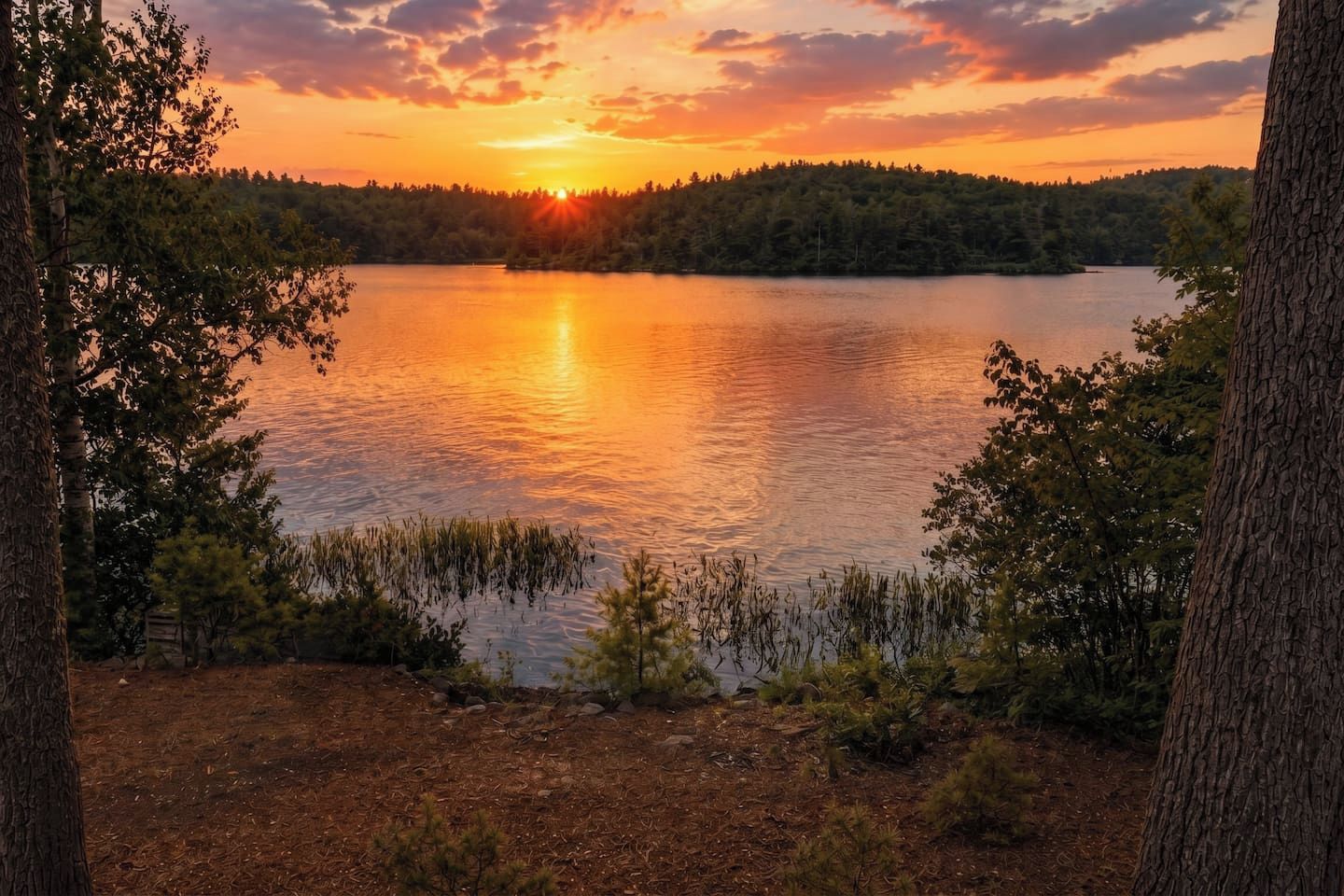 Un lago rodeado de árboles con un atardecer de fondo.