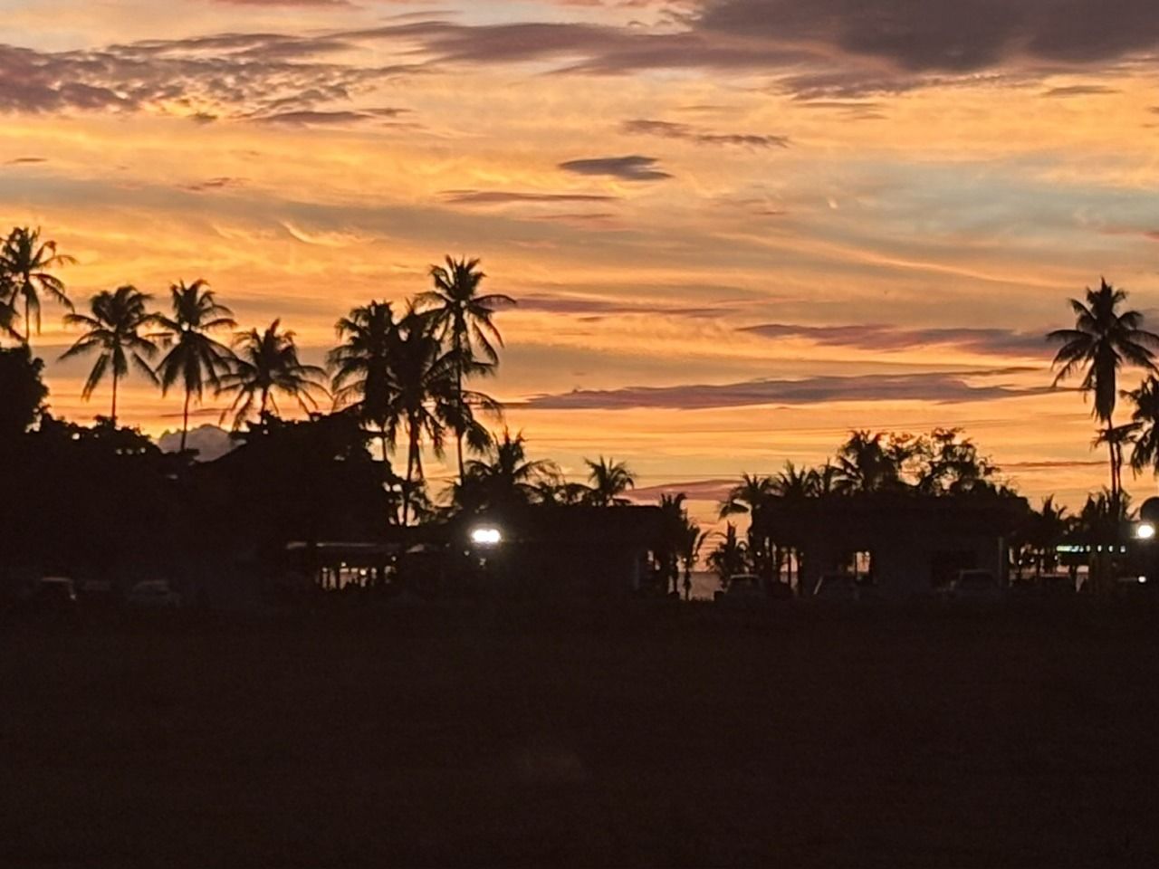 A sunset with silhouettes of palm trees and buildings.