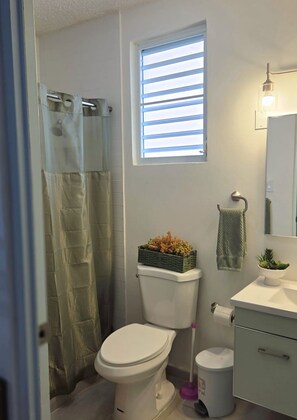 Ein Badezimmer mit Toilette, Bidet, Duschvorhang, Fenster mit Jalousien, Waschbecken, Spiegel und einer kleinen Pflanze auf dem Waschbecken.