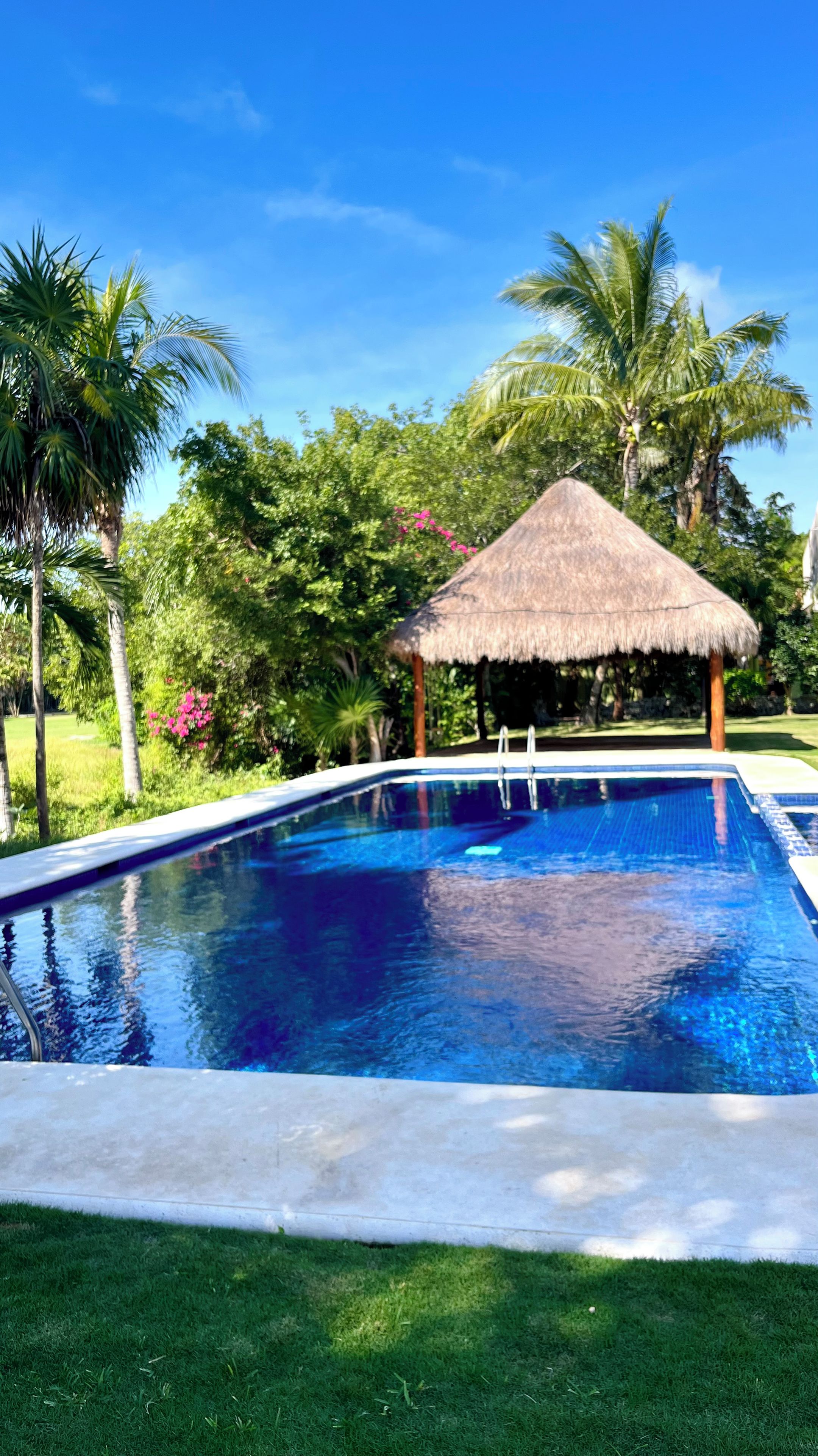 Ein Swimmingpool mit einer strohgedeckten Struktur, umgeben von üppiger Vegetation und Palmen.