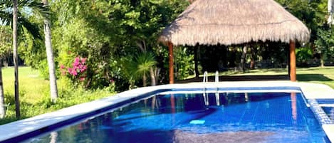 Ein Swimmingpool mit einer strohgedeckten Struktur, umgeben von üppiger Vegetation und Palmen.
