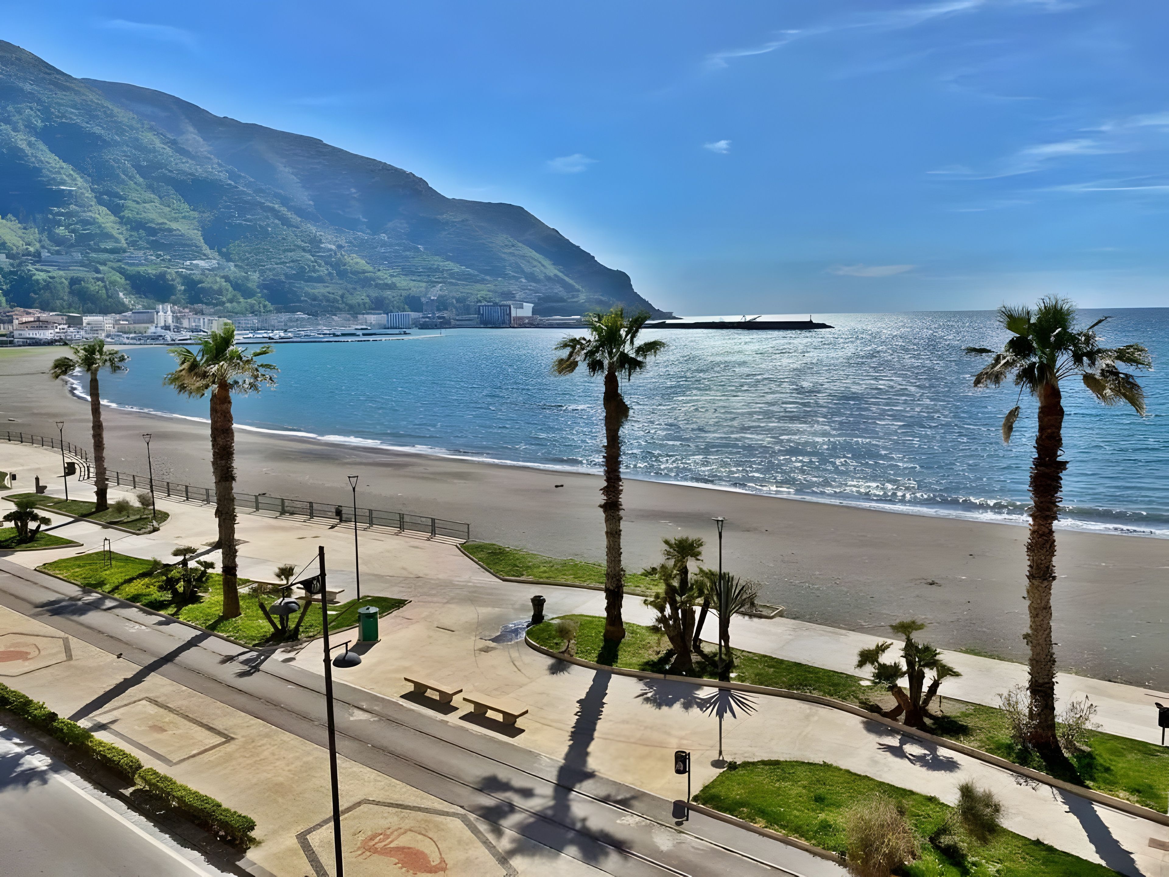 A coastal road with palm trees, a beach, and a mountain in the background.