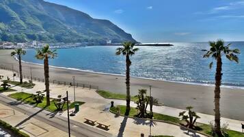 Una strada costiera con palme, una spiaggia e una montagna sullo sfondo.