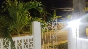 A gated entrance with a decorative metal gate, a white wall with a patterned design, and a palm tree.