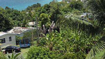A residential area with a view of the sea, a house, and lush greenery.