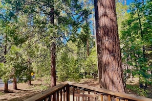 A wooden deck leading to a forested area with tall trees and a clear sky. - Red Door Cottage. Close to town! Pet-friendly! (Twain Harte)