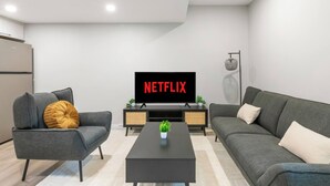 Un salon moderne avec un téléviseur à écran plat affichant le logo « NETFLIX », un canapé gris, un fauteuil gris, une table basse noire et une petite plante.