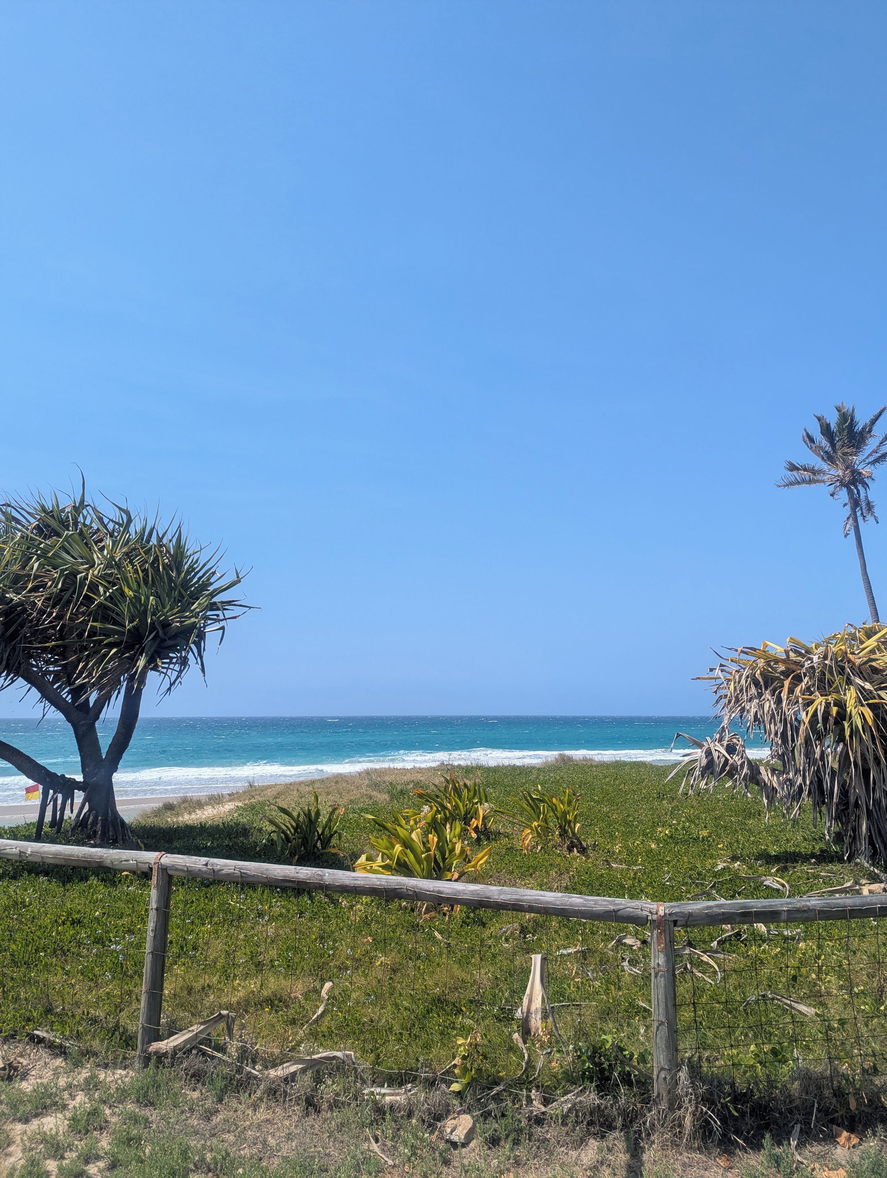 A coastal landscape with a wooden fence, palm trees, and a view of the ocean.