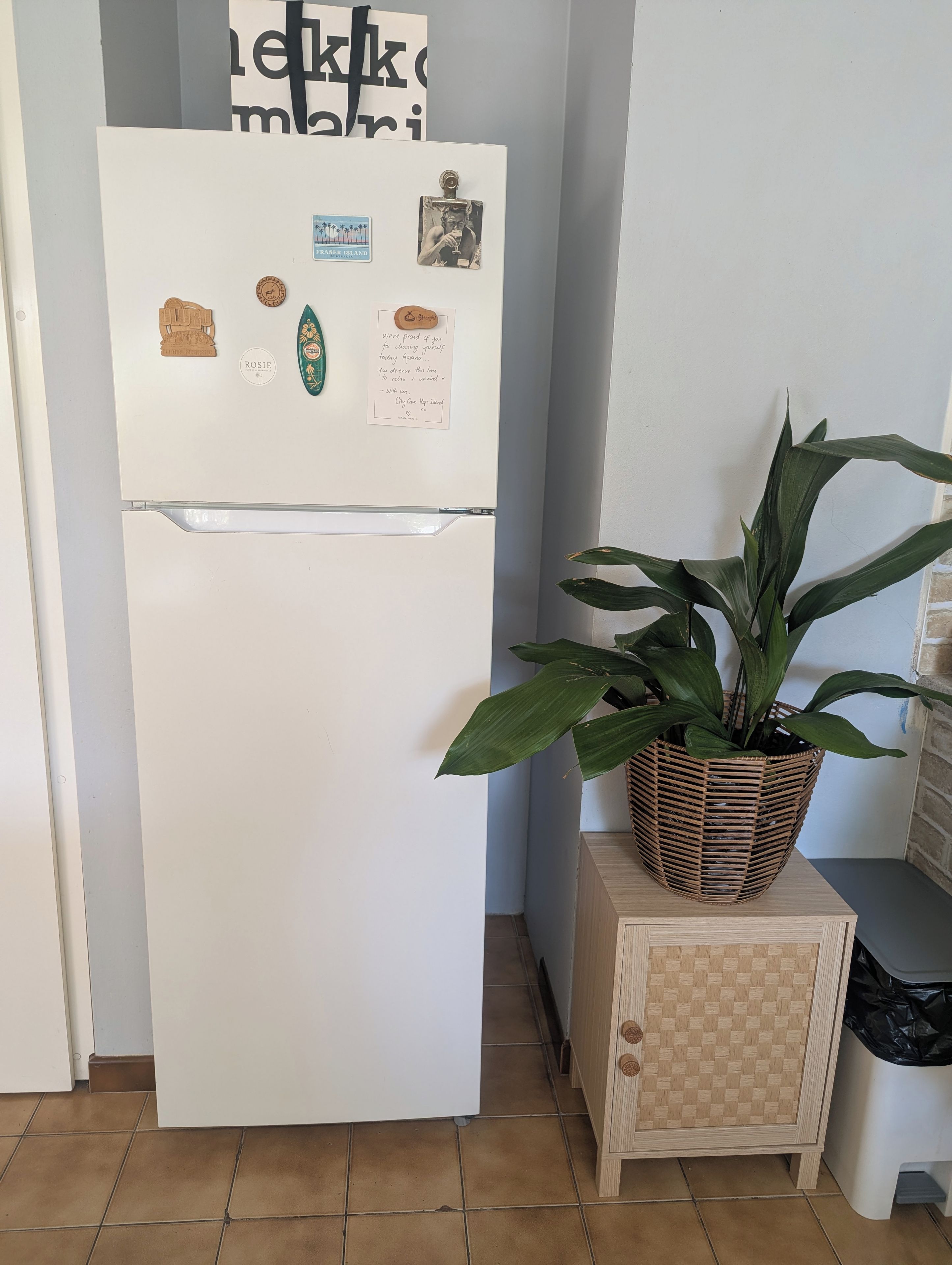 A white refrigerator with magnets and notes, a potted plant on a wooden cabinet, and a tiled floor.