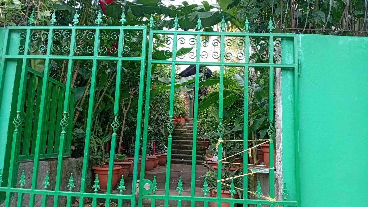 Una verja metálica verde con una escalera que lleva a un área cubierta, rodeada de plantas en macetas.