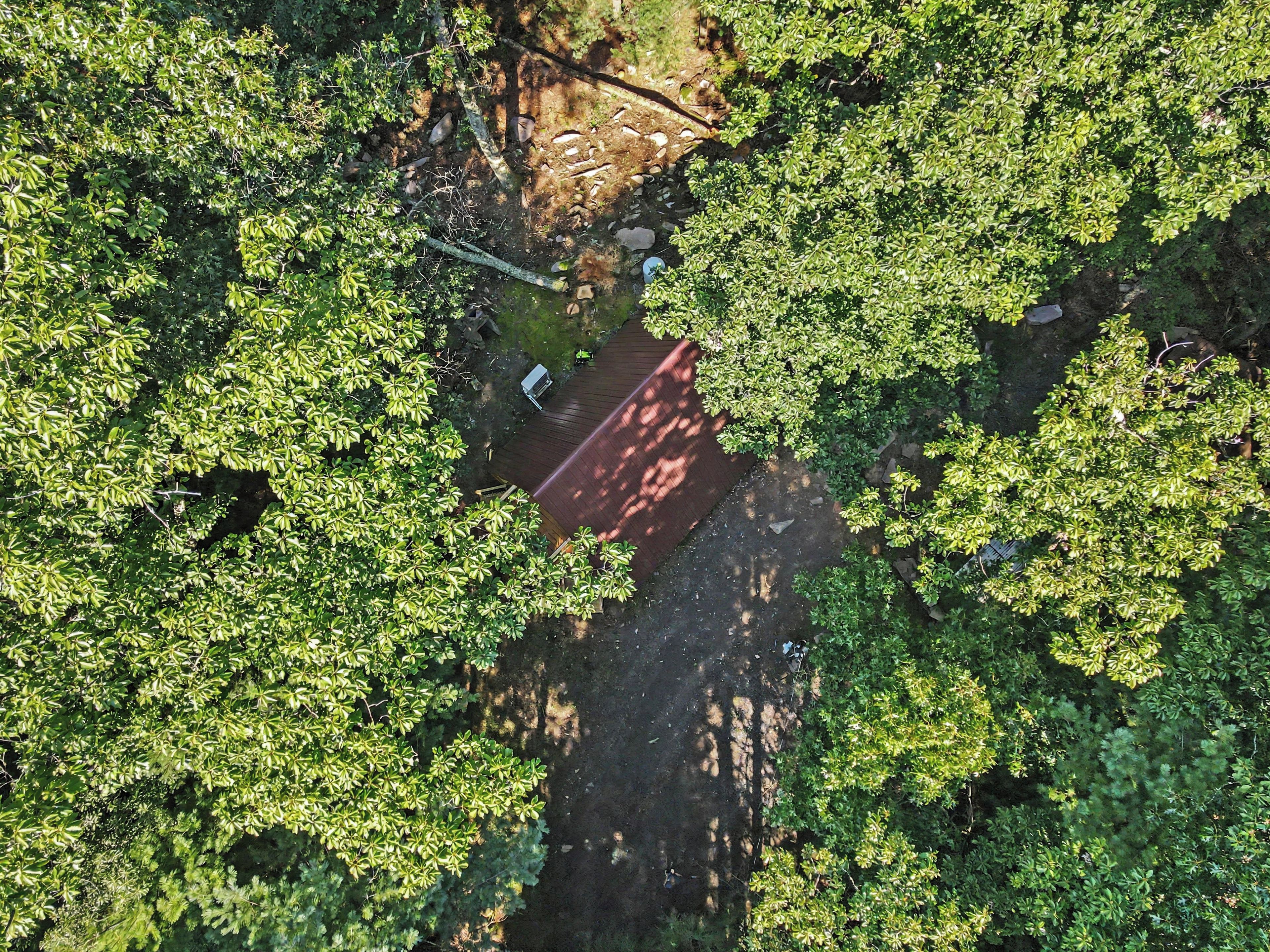Vue aérienne d’une zone boisée avec un sentier de terre et une structure en bois.