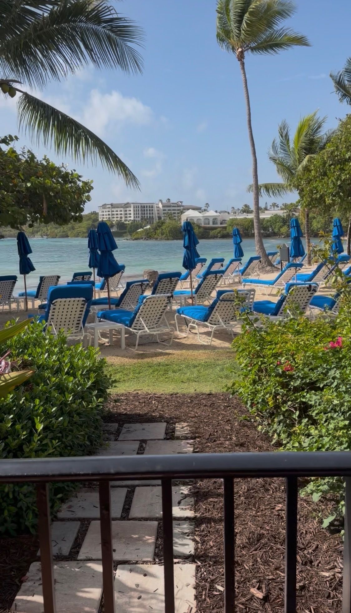 Un espace de détente aménagé au bord de la plage, avec des chaises longues et des parasols, une vue dégagée sur l’océan et un palmier au premier plan.