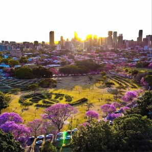 A cityscape with a park in the foreground featuring geometric landscaping and purple flowering trees. - New Farm Hideaway With Courtyard - 2bed-1bath-1car (Brisbane)
