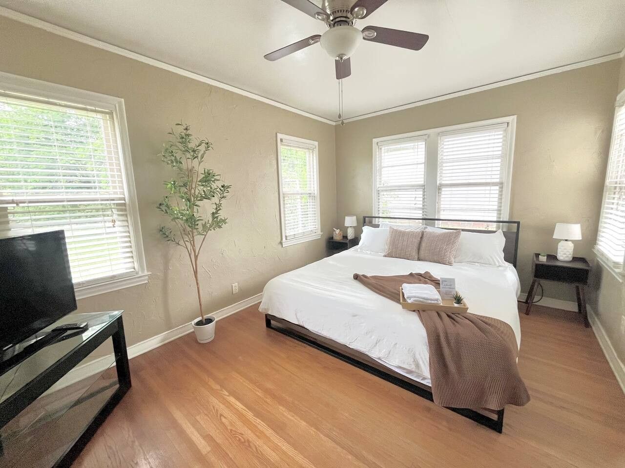 Une chambre à coucher avec un lit, une télévision, un ventilateur de plafond et une plante en pot.