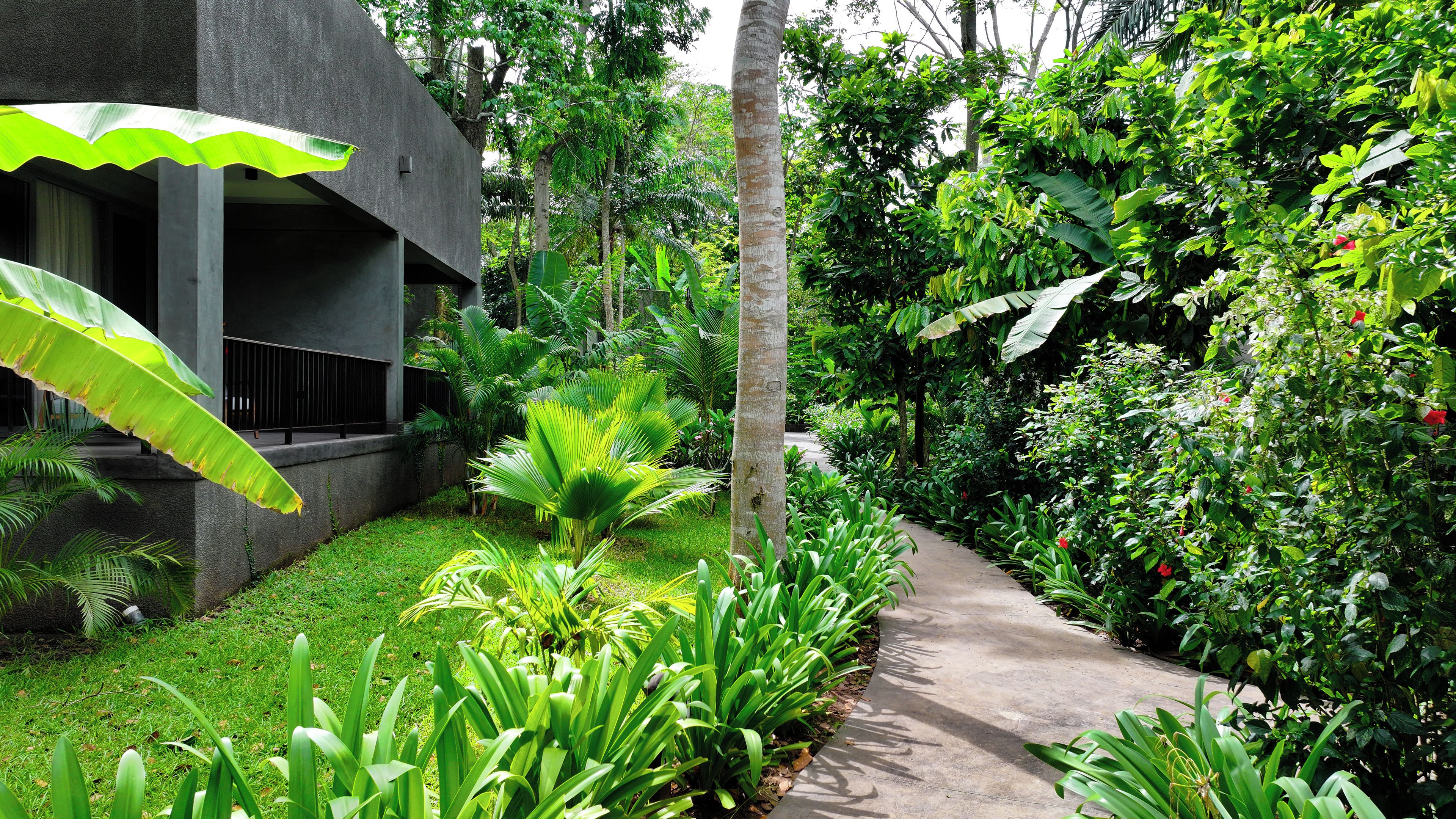 A pathway flanked by lush greenery and a modern building with a concrete facade.