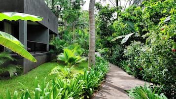 A pathway flanked by lush greenery and a modern building with a concrete facade.